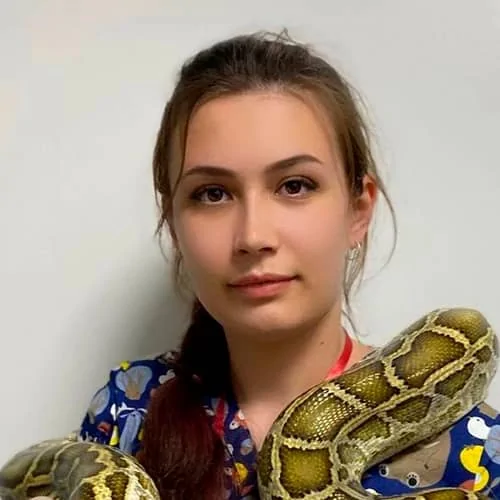 Солдаткина Дарья Дмитриевна